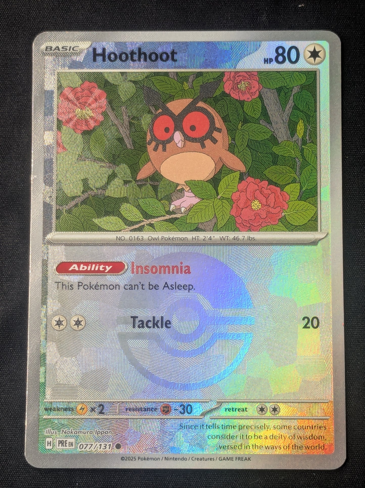 Hoothoot (Poke Ball Pattern) - 077/131 - SV: Prismatic Evolutions