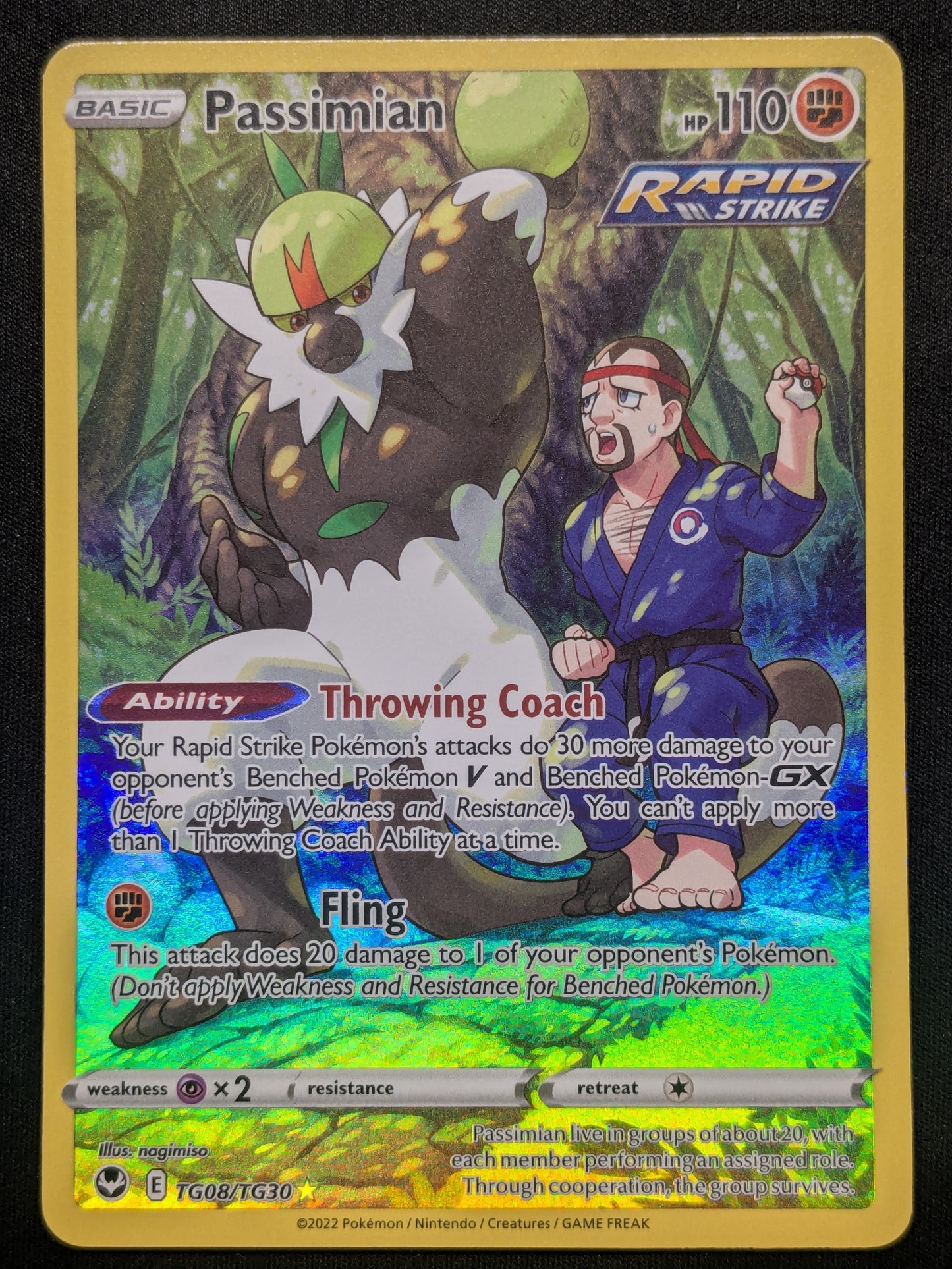 Passimian - TG08/TG30 - SWSH12: Silver Tempest Trainer Gallery
